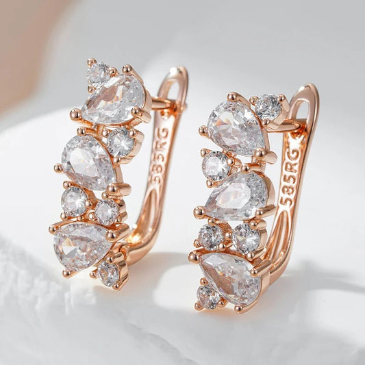 Dendrobium 585 Rose Gold Earrings - Gilded Rosy